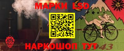 apvp Шахты