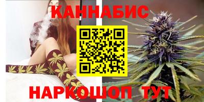 бошки Шебекино