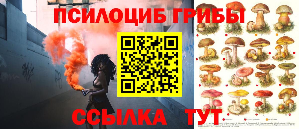 Галлюциногенные грибы мухоморы Выборг