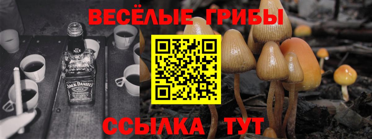 Выборг  Галлюциногенные грибы Magic Shrooms  Галлюциногенные грибы MAGIC MUSHROOMS  Вход с VPN 